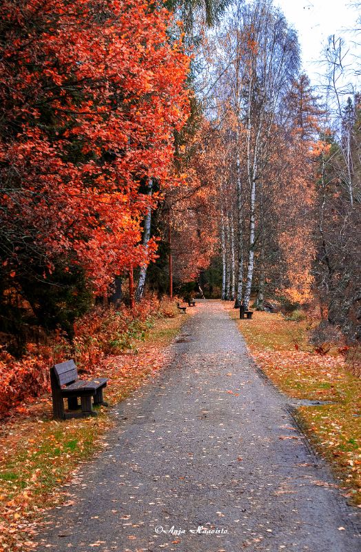 Alley in Aulanko