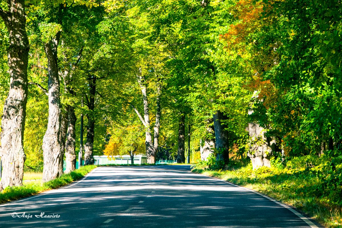 Autumn