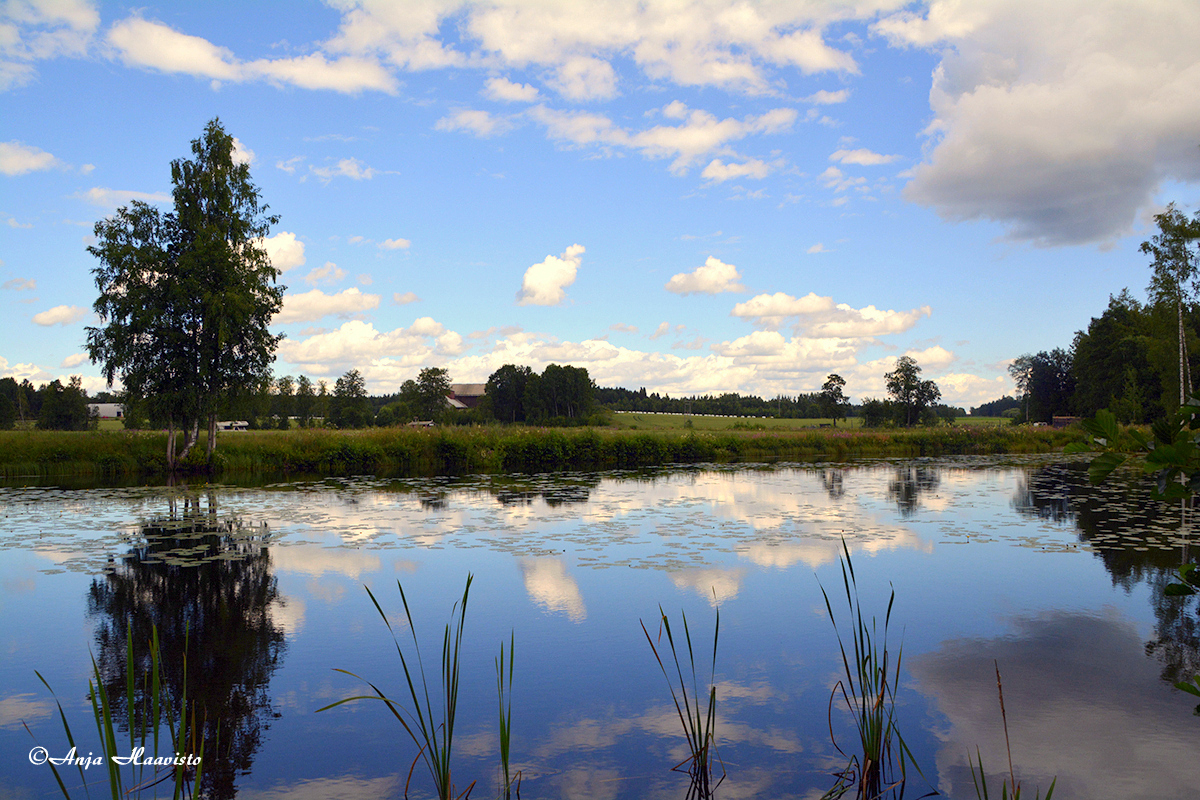 Landscape