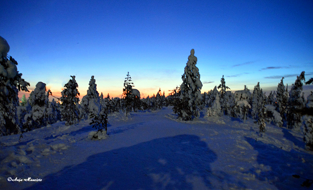 Evening Landscape.
