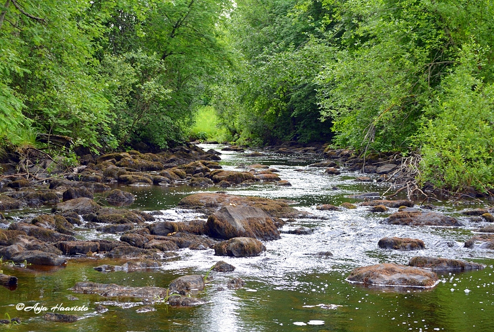 Hörhänkoski in Finland.
