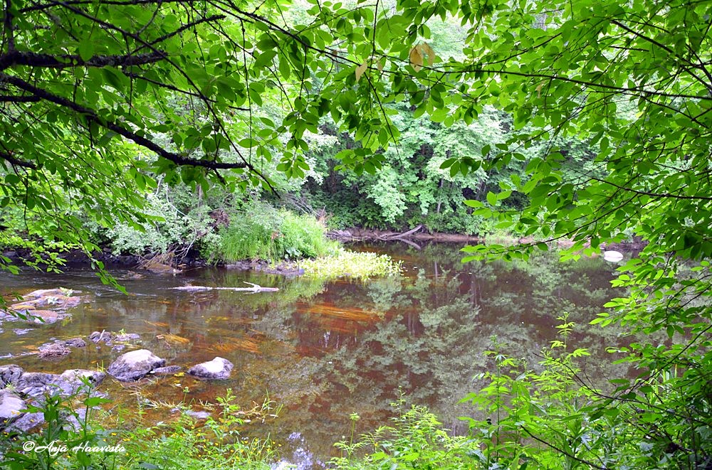 River in Finland.