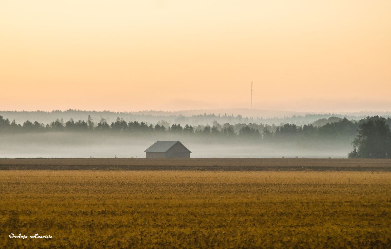 Mist