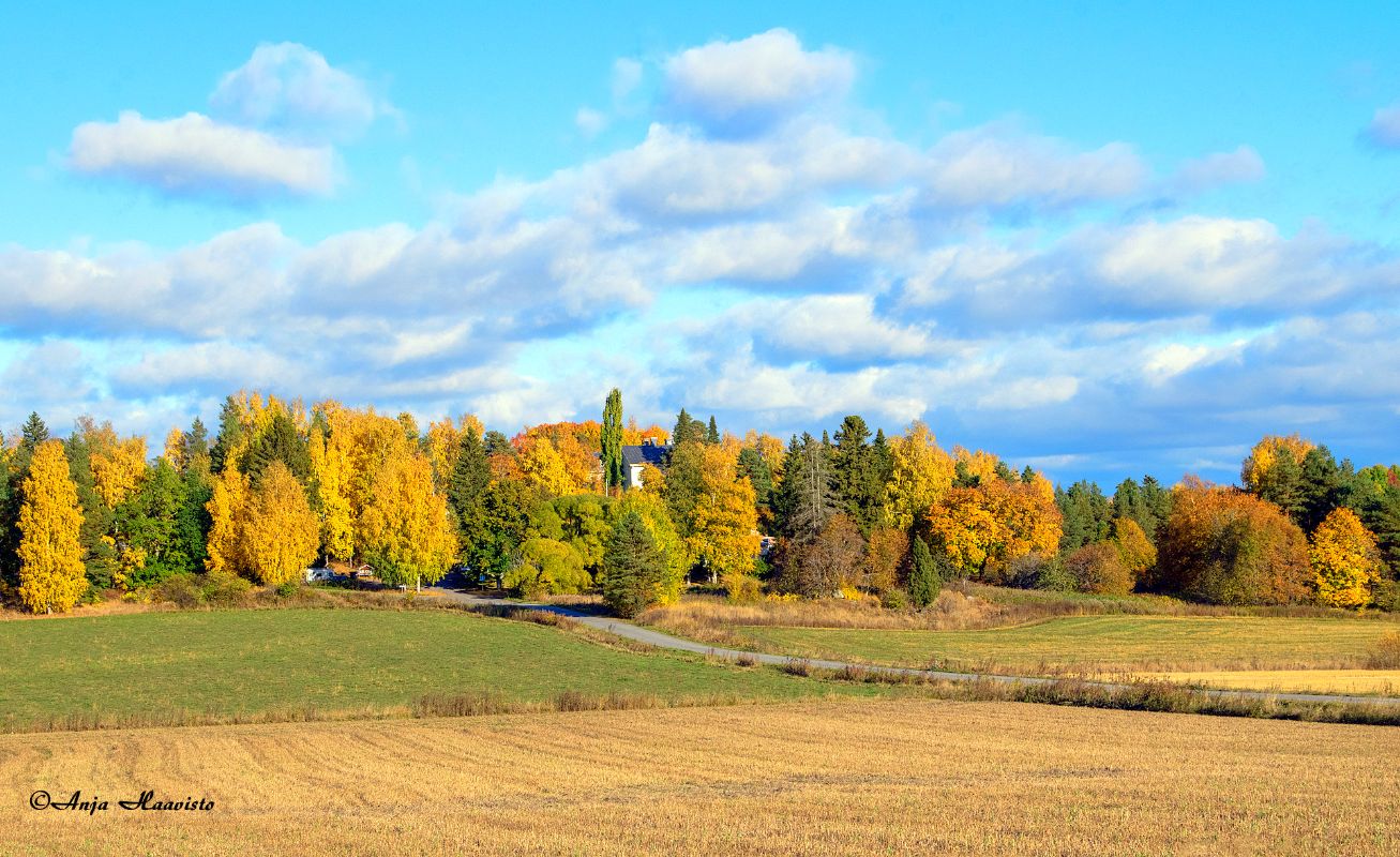 Päivölä