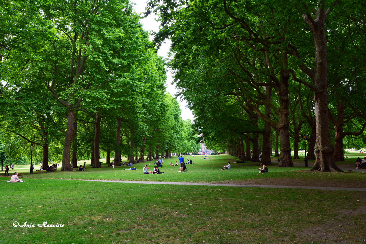 Green Park in London UK.