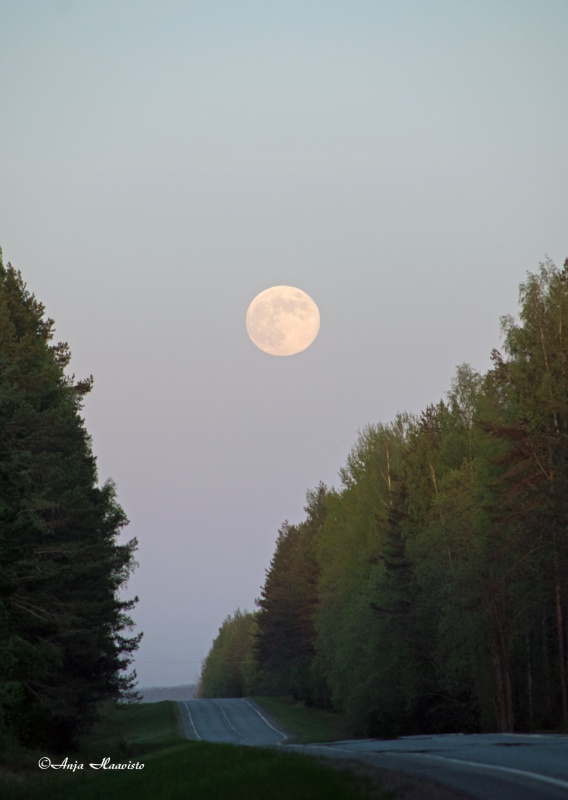Blue moonlight.
