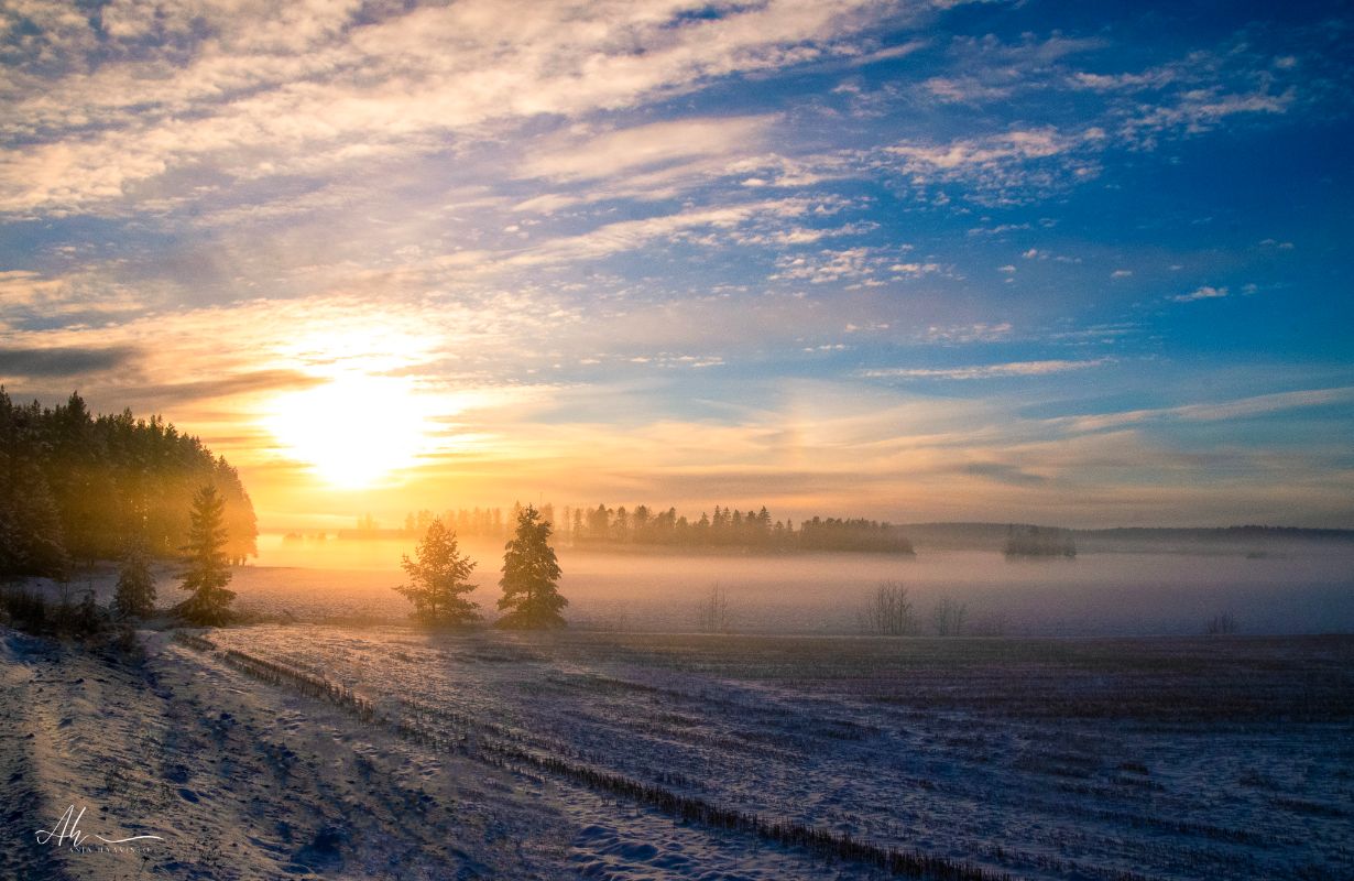 Sun in Winter