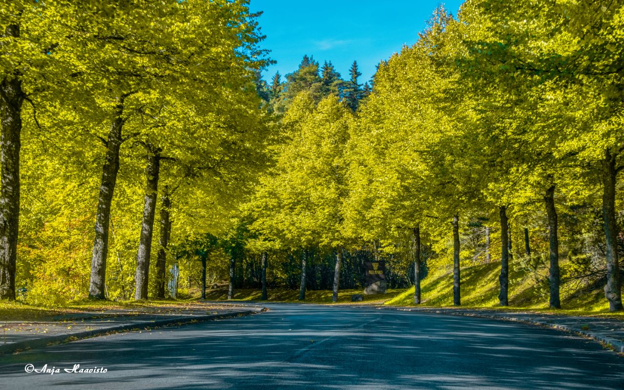 Autumn