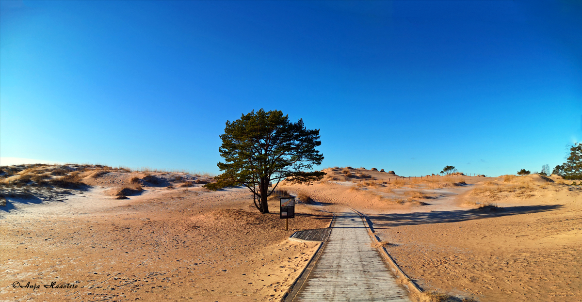 Beautiful landscape from Yyteri in Finland.