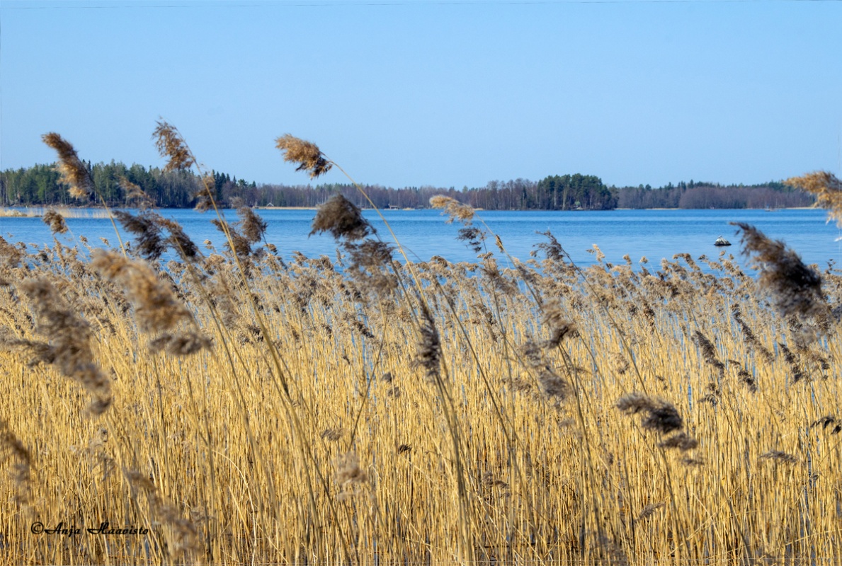 Landscape from Toijala harbor.