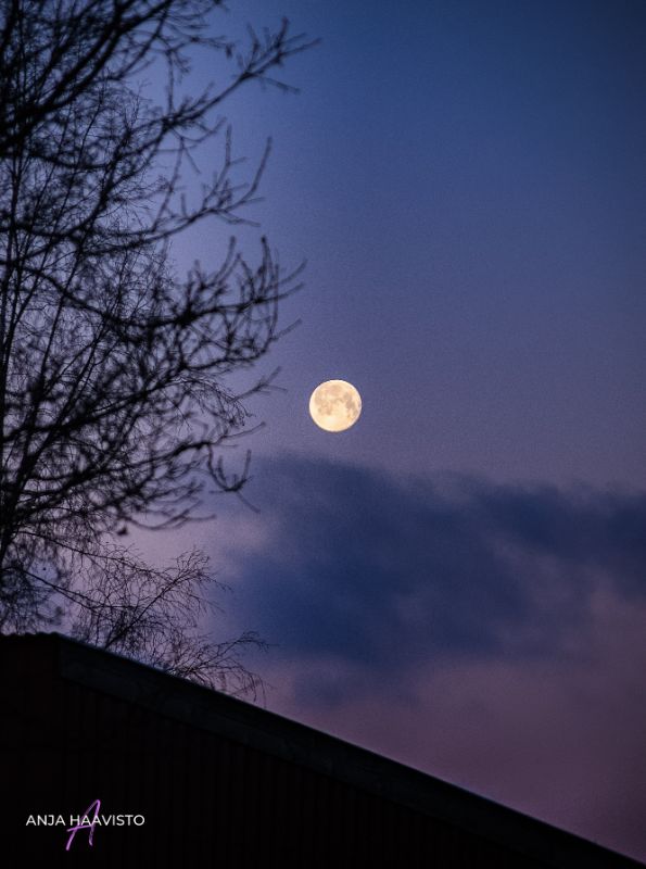 Moonlight