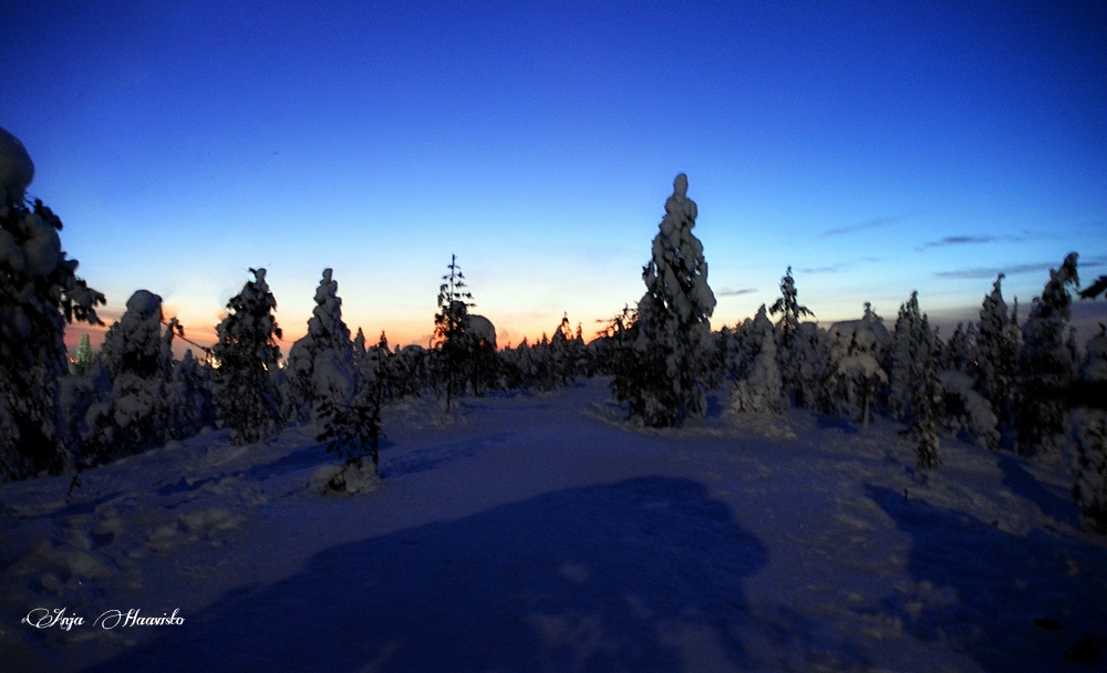 Evening landscape from Rovaniemi.
