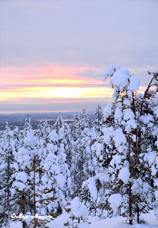 Ounasvaara Rovaniemi in Finland.