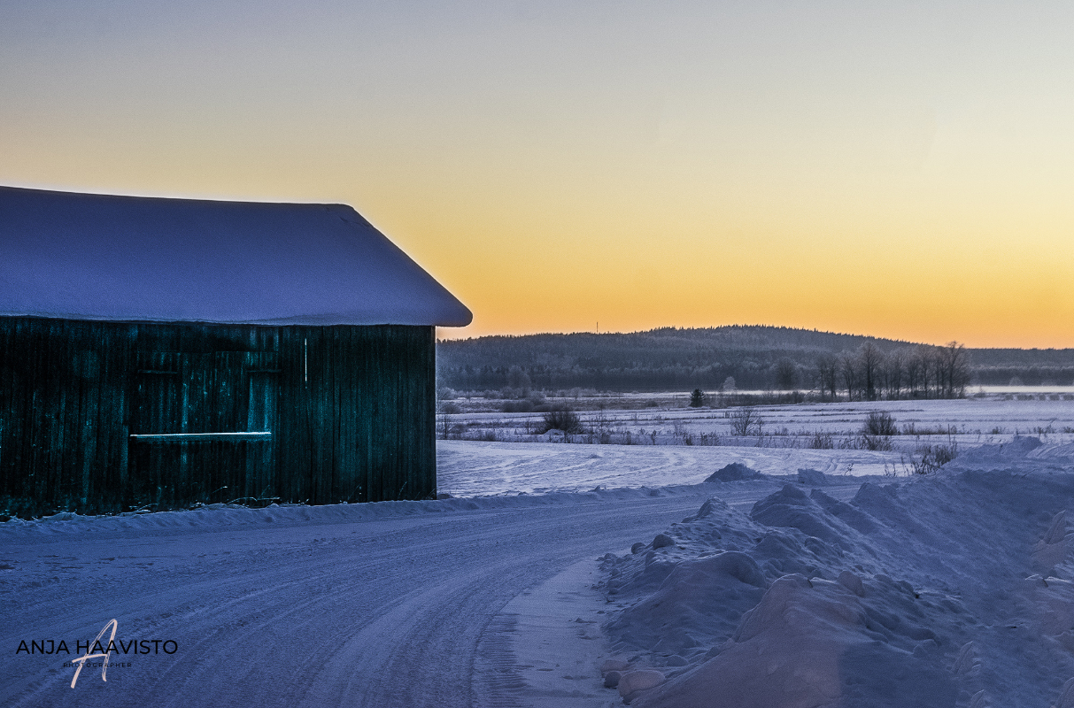Frosty day