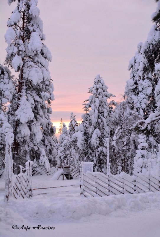 Beautiful scenery of Rovaniemi.