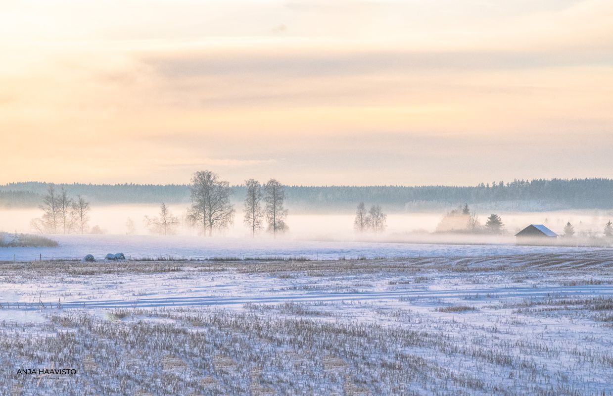 The cold breath of winter