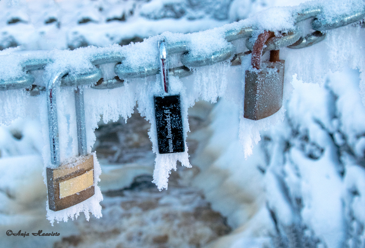 Heart locks on the bridge