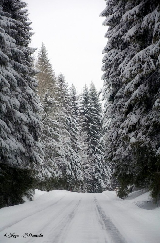 Beautiful winter landscape from Finland.