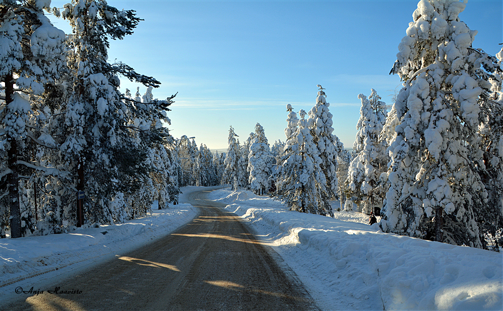 Winter Landscape.